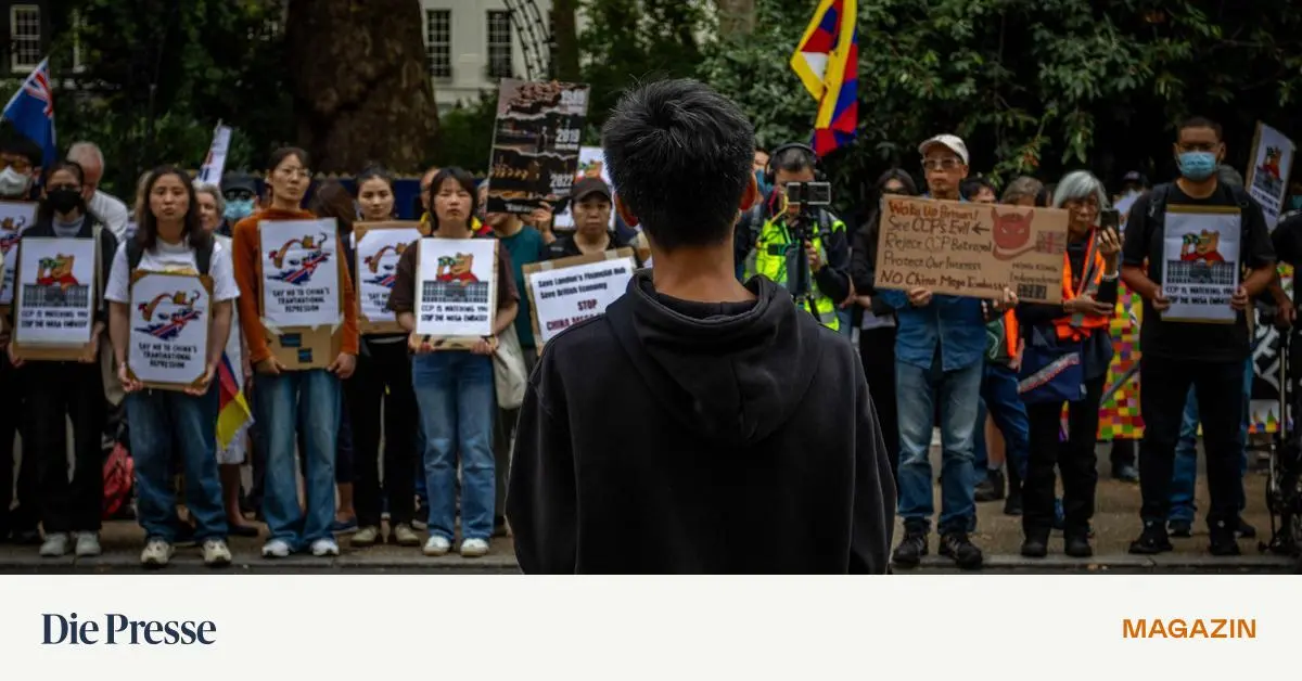 Die-Chinesen-in-Europa-gibt-es-nicht-premium-