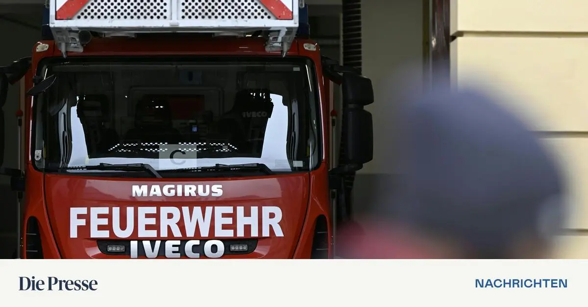 nachbarn-retten-frau-aus-brennendem-haus