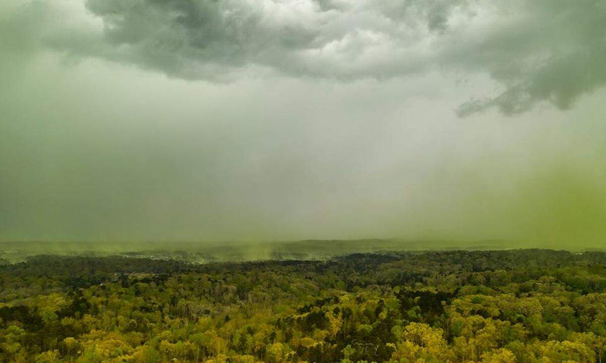 Das Städtchen auf diesen Bildern heißt Durham. "Im April überlappen sich in North Carolina die Pollensaison von mehreren Baum- und Grasarten", erklärt Heather Gutekunst dem Sender ABC11.