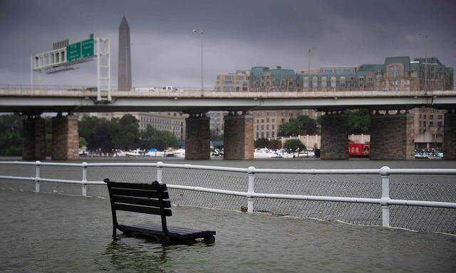 Eine Parkbank im überschwemmten East Potomac Park in Washington D.C.