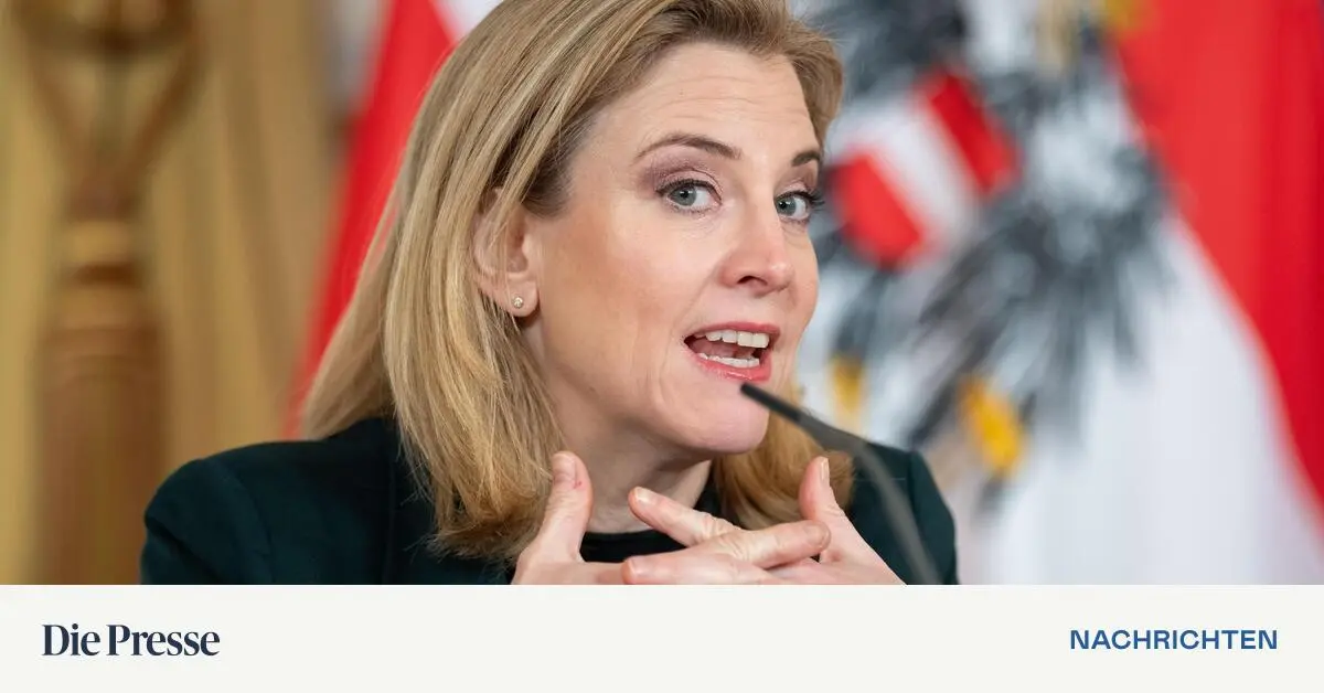 Regierung-will-Abschiebungen-nach-Syrien-ausweiten