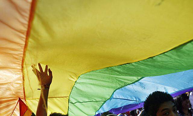Litauen Tauziehen HomosexuellenParade beendet