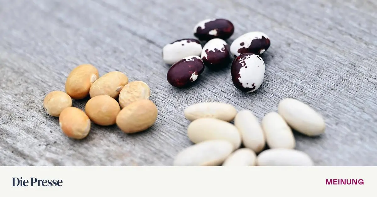 Raum-und-Zeit-premium-