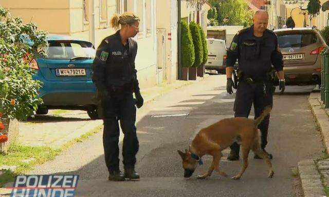 ATV arbeitet für Formate immer wieder mit der Polizei zusammen. Etwa für die Doku-Soap "Polizeihunde - Verbrecherjagd mit Biss!" (im Bild).