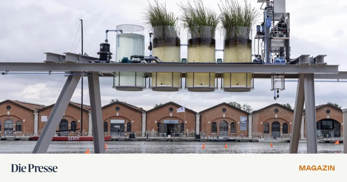 Architekturbiennale-Venedig-Einmal-Espresso-aus-Kanalwasser-bitte-premium-