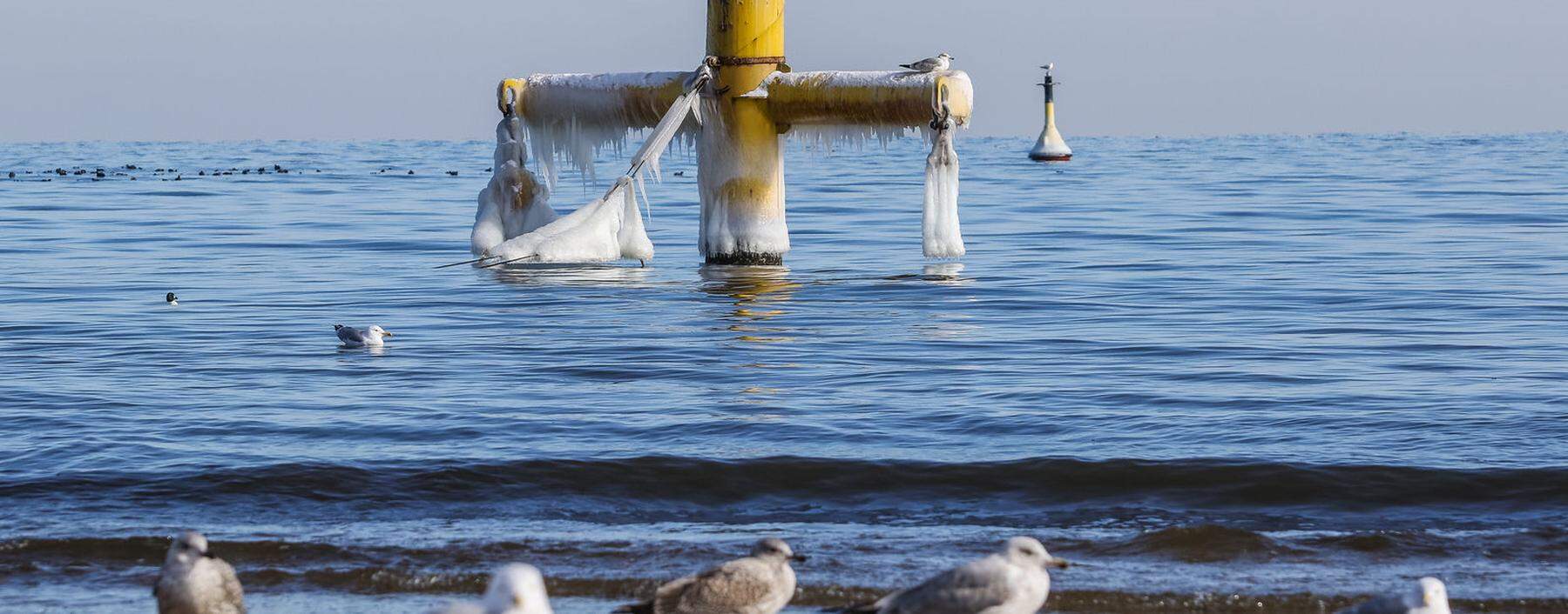 Küste an der Ostsee: Gdingen in der Danziger Bucht, Polen.