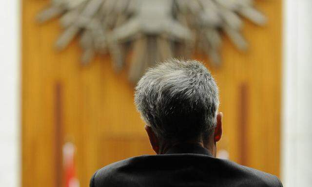 Szenen einer Amtszeit: Heinz Fischer auf einer Aufnahme von „Presse“-Fotograf Clemens Fabry bei der konstituierenden Sitzung des Nationalrats 2008. 