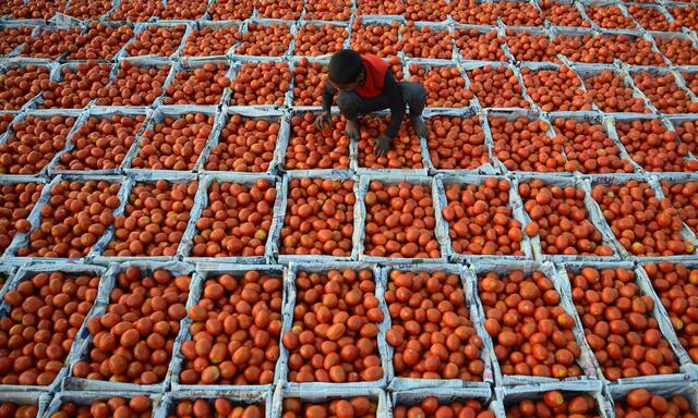 Diesen Sommer gab es bei McDonalds Indien keine Tomatenscheiben im Burger. Das Gemüse war knapp, der Preis versiebenfachte sich. 