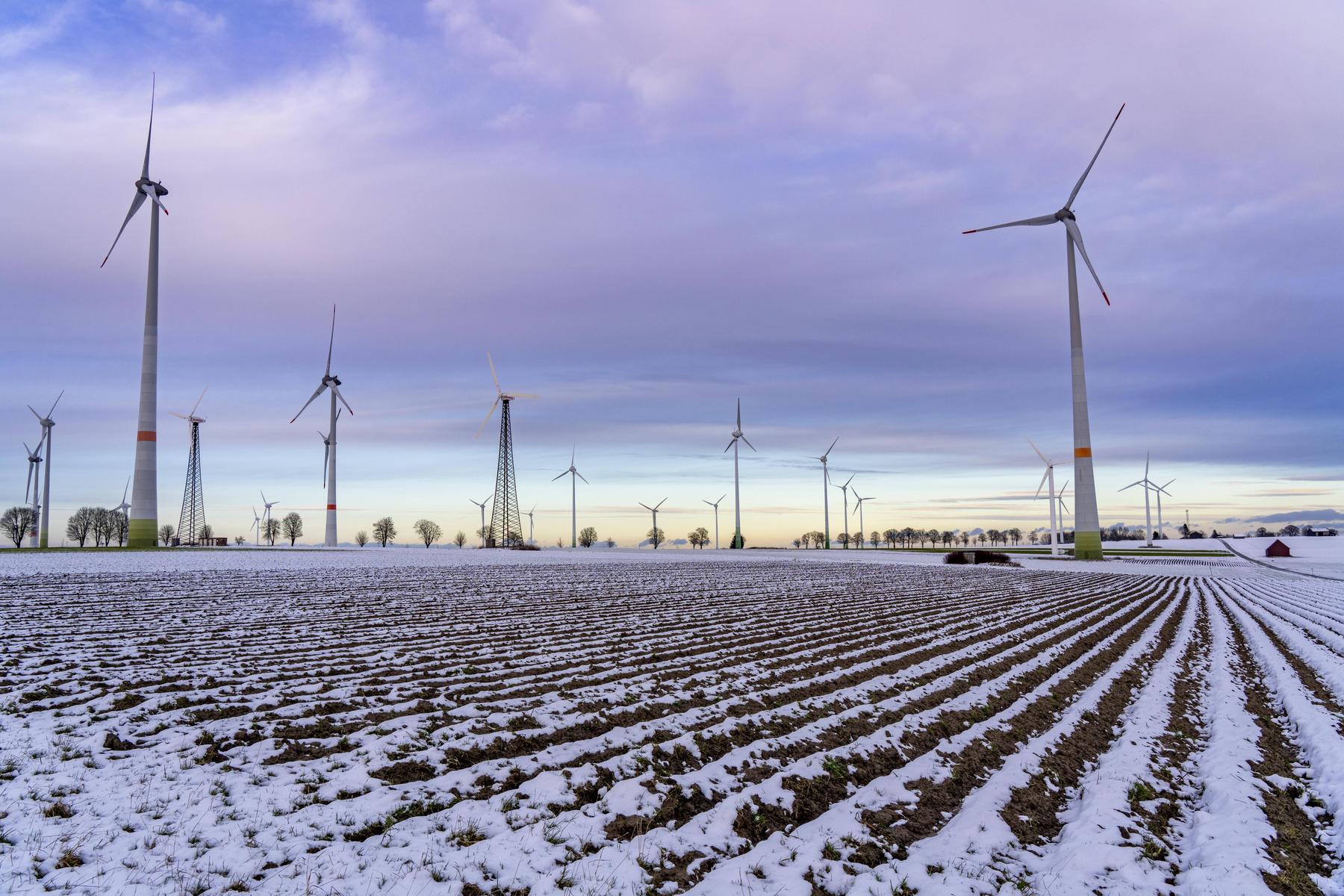 Boom erneuerbarer Energien zum „Durchbruch des Jahres“ gekürt
