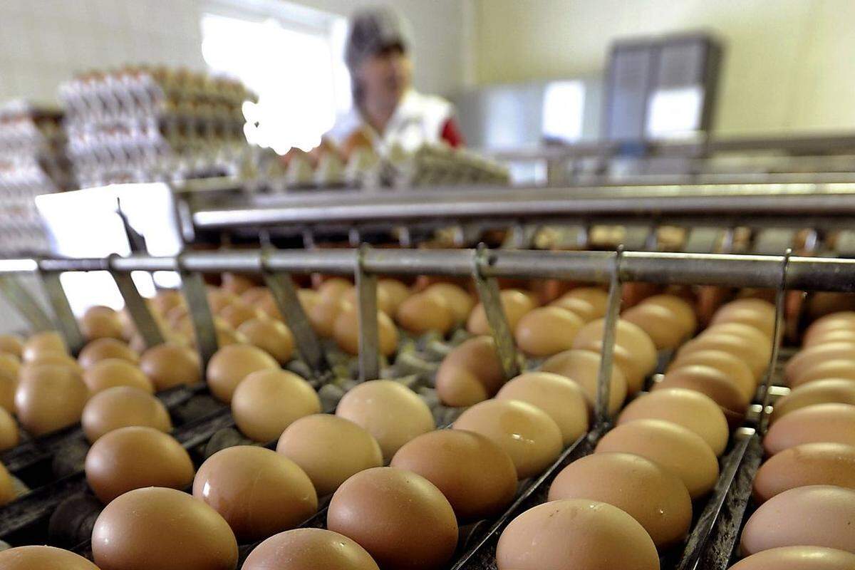 Ein verlässlicher Lieferant von Produktrückrufen ist die Nahrungsmittelbranche. Sie sorgte etwa für den zahlenmäßig wohl spektakulärsten Fall, als 2010 rund 380 Millionen Stück salmonellenverseuchte Eier in den USA vernichtet wurden.