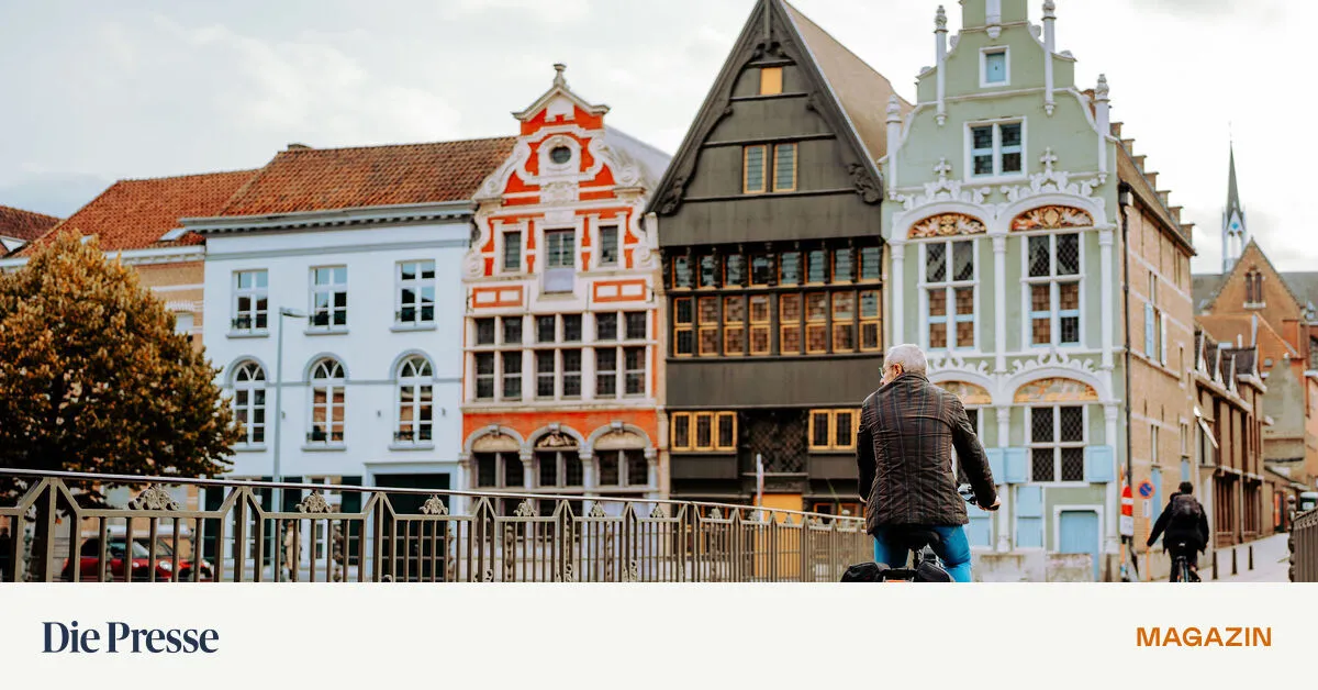 Zwischen-Hopfen-und-Historie-in-Flandern-Mit-dem-Rad-durch-Mechelen-und-Leuven-premium-