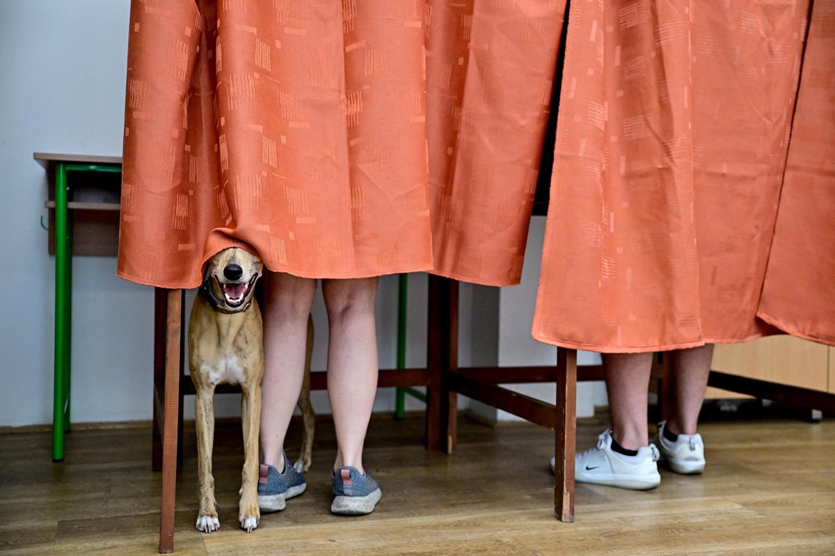 9. Juni. Am Sonntag wählten 24 EU-Staaten die neue Zusammensetzung im EU-Parlament. Ein Hund darf in Ungarn auch mit ins Wahllokal.
