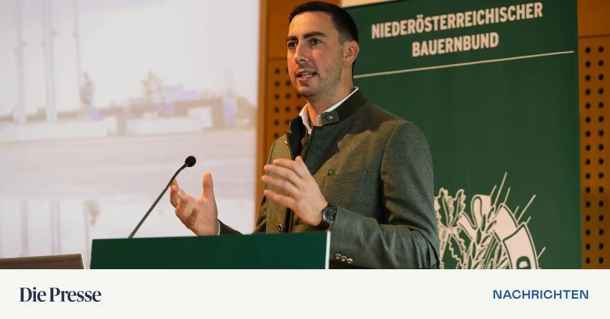 Nach-Nein-zu-Mercosur-EU-Parlament-ringt-mit-sich-premium-