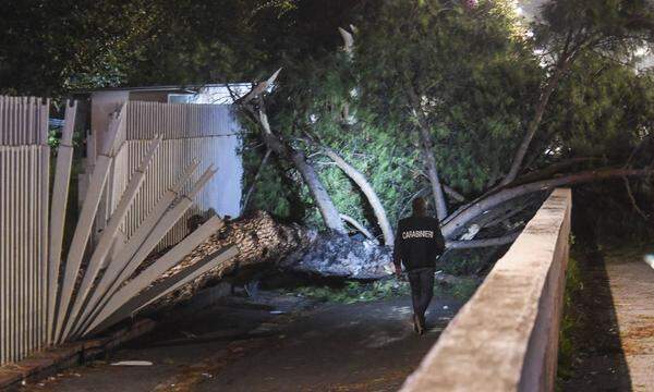 Die Bilanz der schweren Unwetter mit Starkregen und Sturmböen, die weite Teile Italiens betrafen, ist eine tragische: Mindestens neun Personen kamen seit Montag ums Leben, einige Menschen sind vermisst, Dutzende weitere wurden verletzt. Schon am Sonntag waren mindestens fünf Menschen gestorben. Von den Unwettern besonders betroffen war am Dienstag die Region Ligurien.  Im Bild der Bezirk Fuorigrotta in Neapel, wo ein 21-jähriger Student von einem Baum erschlagen wurde.