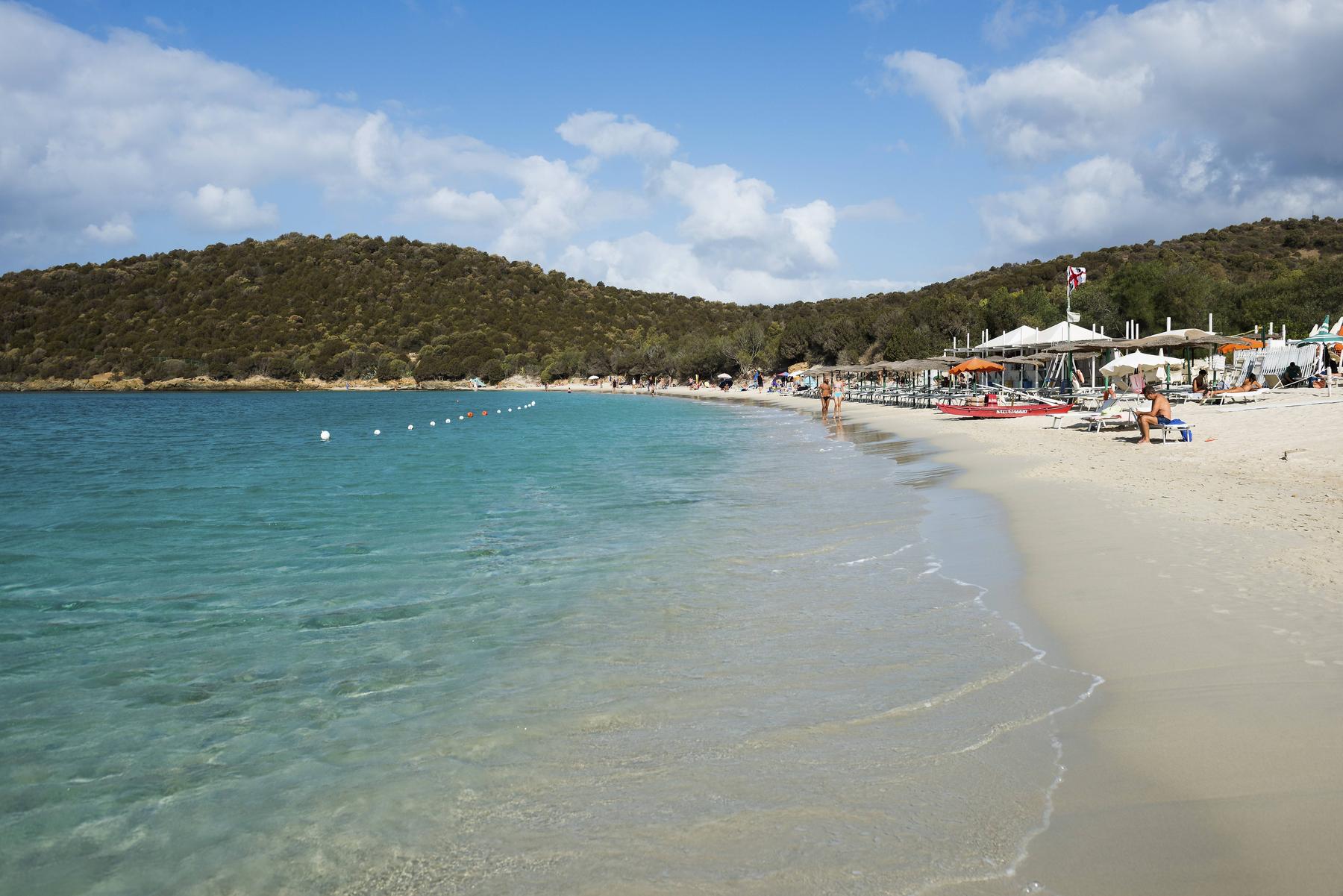 Beach bulldozer kills holidaymakers in Italy-Diepresse.com