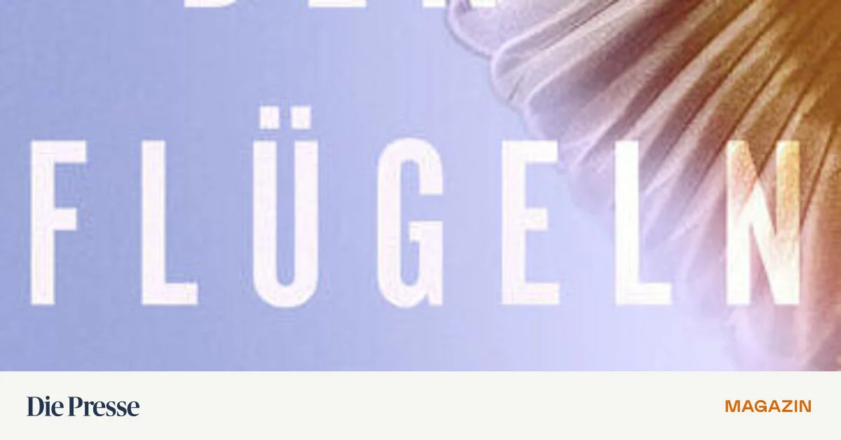 Autor-Aidin-Halimi-ber-die-vergessenen-Menschen-des-Iran-premium-