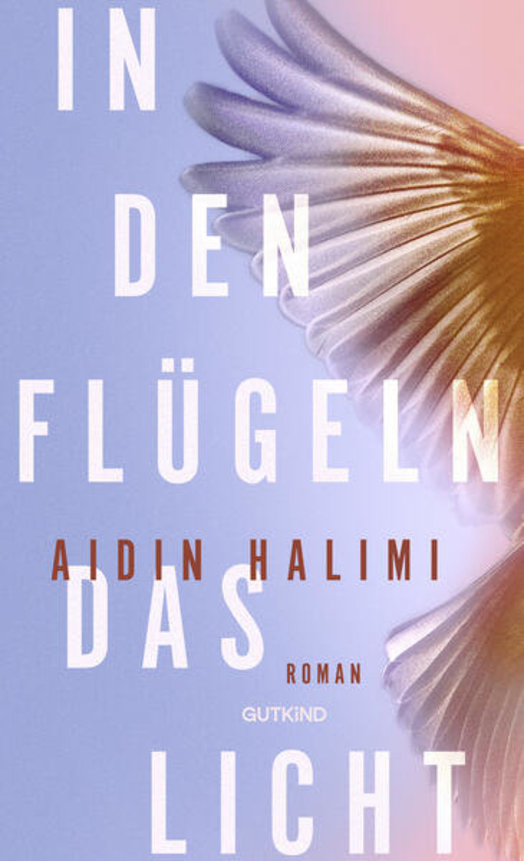 Autor Aidin Halimi über die vergessenen Menschen des Iran [premium]
