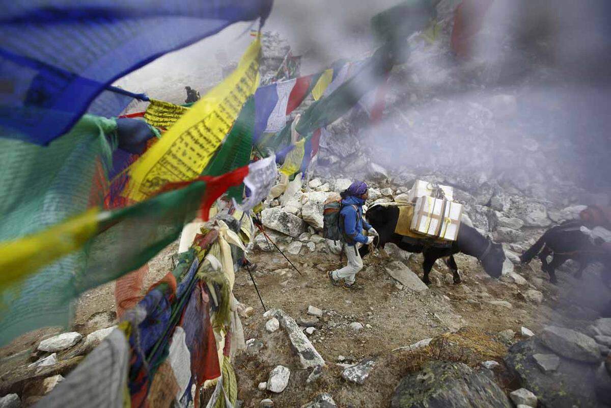 In ganz Nepal kamen mehr als 8800 Menschen ums Leben. Am Mount Everest wurde eine massive Lawine ausgelöst, die das Basislager verwüstete und 18 Menschen in den Tod riss.