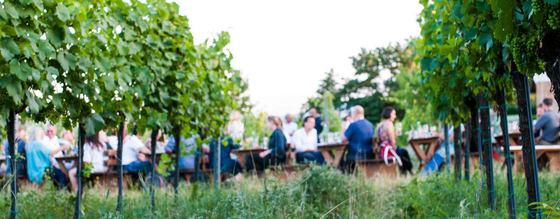 Lauschig. Biohof Nº5 und Biofisch haben in Stammersdorf ausgesteckt.