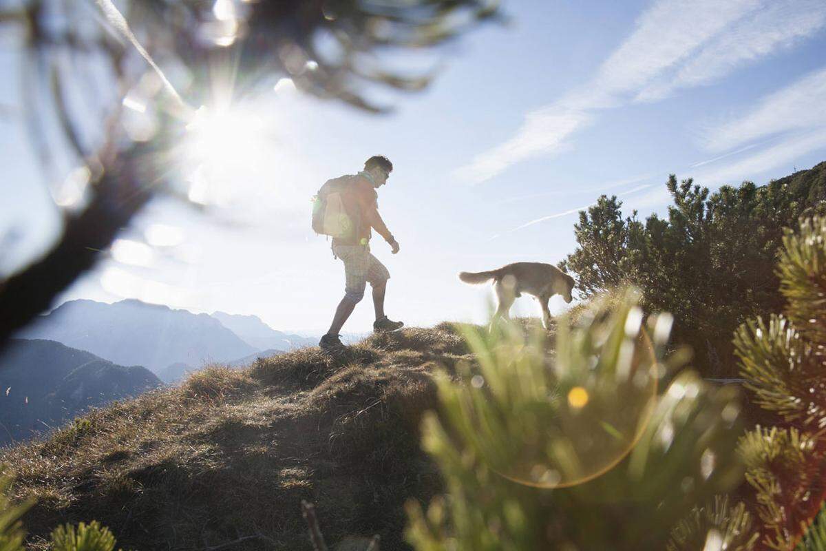 In den vergangenen 130 Jahren hat die jährliche Sonnenscheindauer an den Bergstationen der Alpen um 20 Prozent (mehr als 300 Stunden) zugenommen. Wobei der Anstieg im Sommer stärker war als im Winter. Die wärmeren Temperaturen werden sich laut den Untersuchungen des Klimaberichts positiv auf den Sommertourismus des Landes auswirken. Das Plus im Sommer könne das erwartete Minus im Winter allerdings nicht wettmachen.