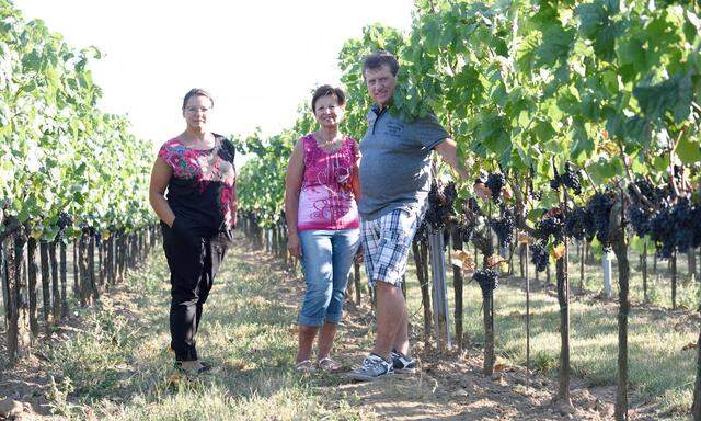 Angelika, Maria und Hans Artner (von links) setzen in ihrem Bioweingut in Göttlesbrunn auf die recht junge, robuste Sorte Rösler.