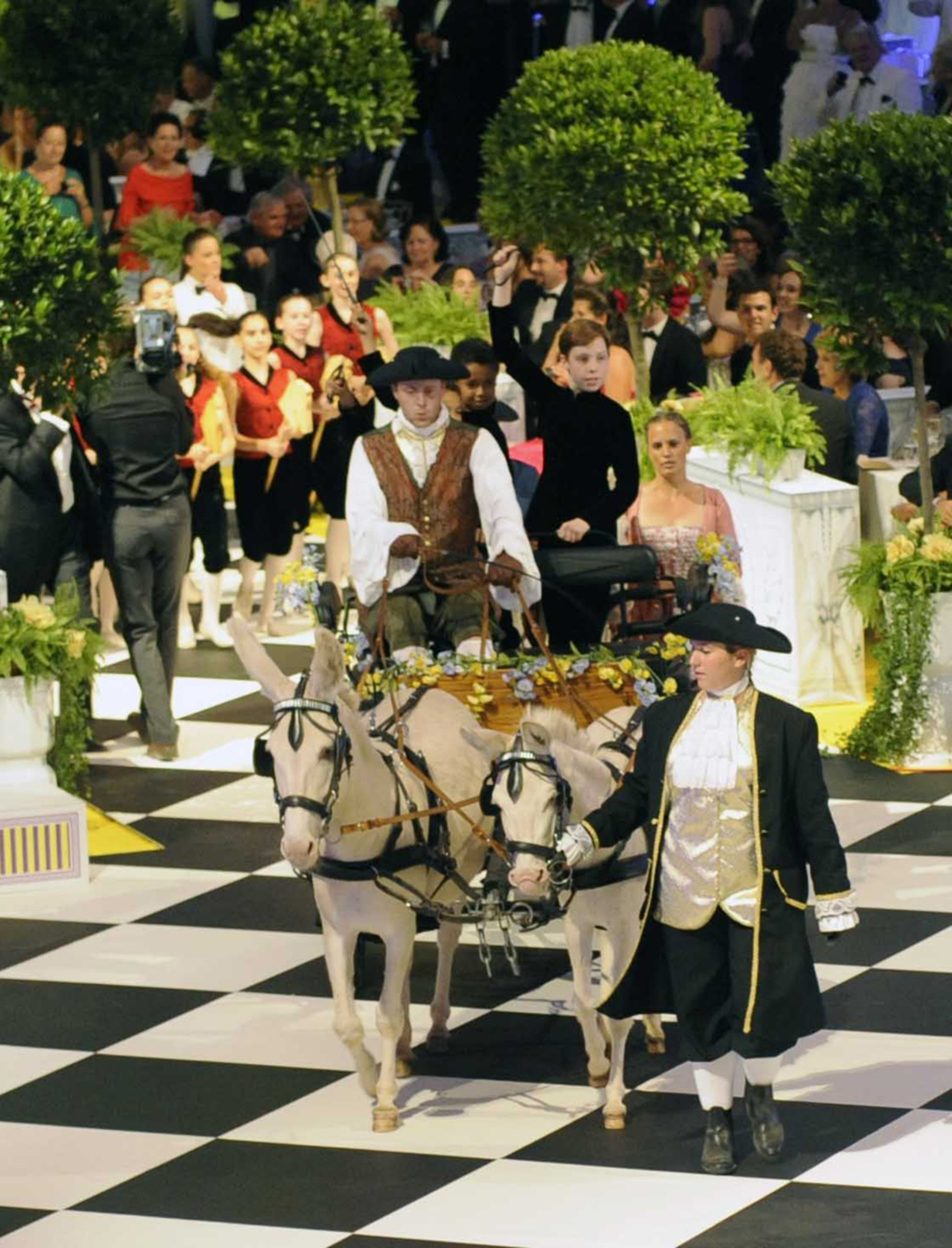 Keine weißen Lipizzaner, sondern weiße Esel zogen dieses Fuhrwerk. Nachdem der Einzug bei den Lipizzanern in den vergangenen Jahren zu viel Stress auslöste, entschied man sich diesmal für die resistenteren Vierbeiner. So zogen "Mortadella" und "Annelies" eine Kutsche in die restlos gefüllte Winterreitschule, gefolgt von Esel-Mutter "Mathilda" mit ihrem erst drei Wochen alten Nachwuchs "Franzl".