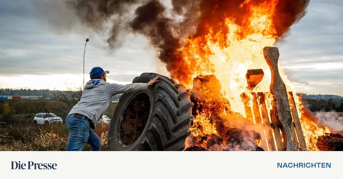 -sterreich-kann-sich-sein-Veto-gegen-Mercosur-nicht-l-nger-leisten-premium-