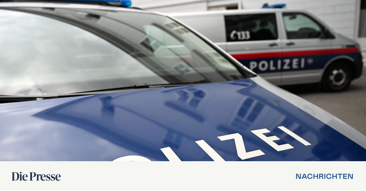 Frau-bei-Messerattacke-von-Ehemann-in-Wien-lebensgef-hrlich-verletzt