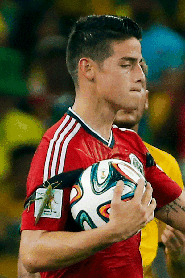 Kolumbiens Fußball-Nationalspieler James Rodríguez hatte bei seinem Treffer zum 1:2 im WM-Viertelfinale gegen Brasilien Unterstützung: Wie auf TV-Bildern zu sehen ist, hatte der 22-Jährige nach dem verwandelten Foulelfmeter ein großes grünes Insekt - vermutlich eine Heuschrecke - auf seinem rechten Oberarm sitzen.