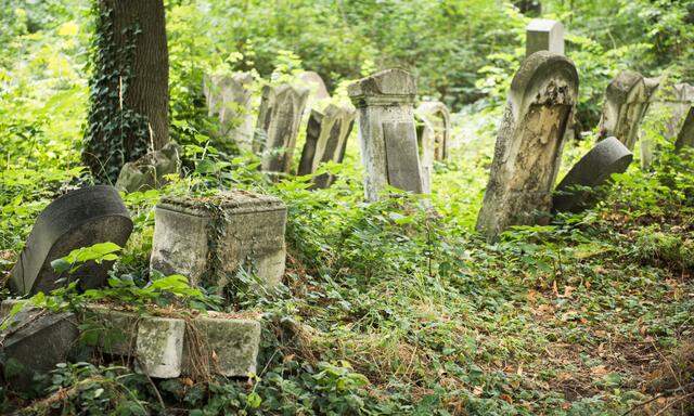 Der vergessene jüdische Friedhof in Währing ist ein Biedermeierjuwel – das zusehends verfällt.