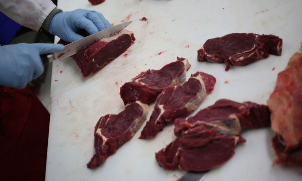 Operations On The Northstar Bison Ranch As Diners Swap Steak For Grass-Fed Game