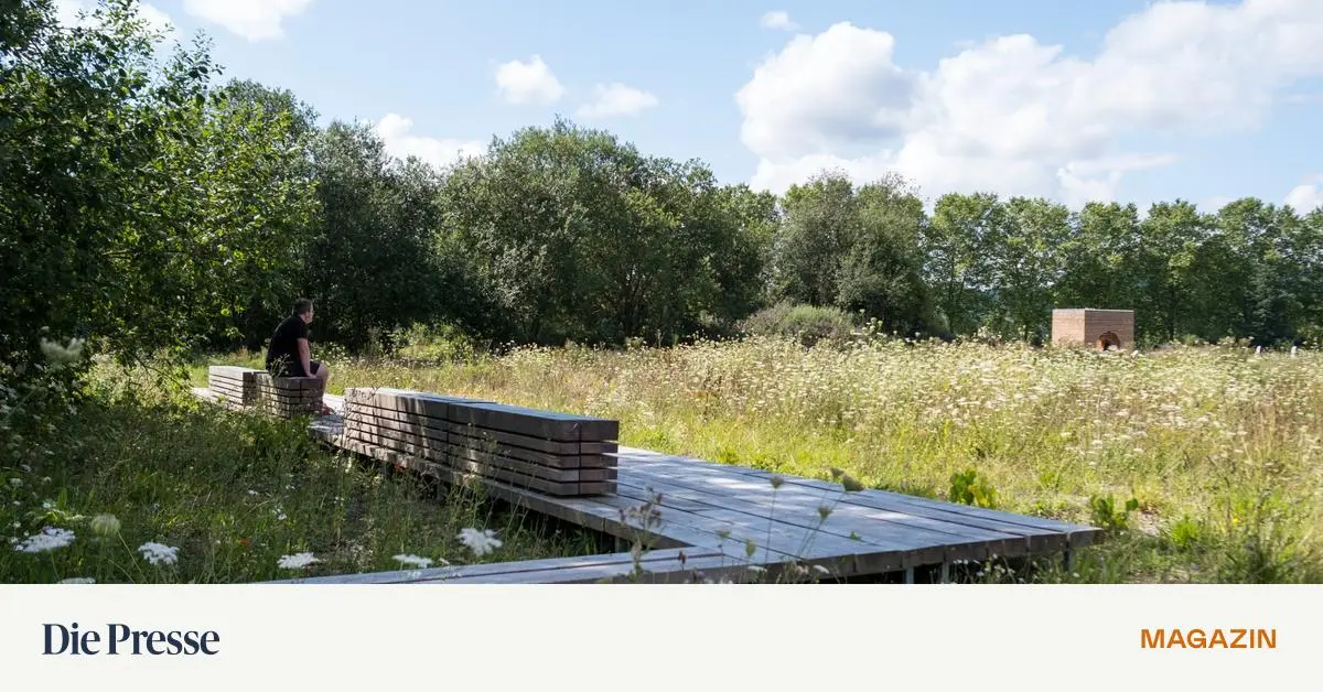 Landesgartenschau-in-H-xter-gewinnt-Deutschen-Landschaftsarchitektur-Preis-premium-