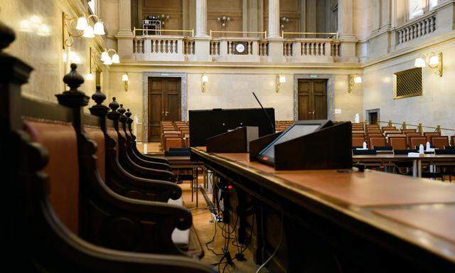 Im Landesgericht für Strafsachen Wien wurde verhandelt, zuvor hatte es einen Paukenschlag gegeben: Der Wiederaufnahme des Prozesses war  zugestimmt worden.  