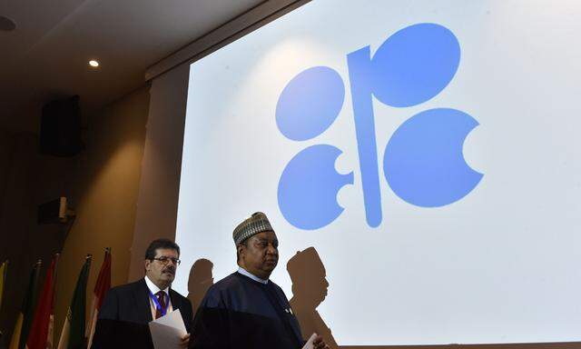 ALGERIA-OIL-OPEC