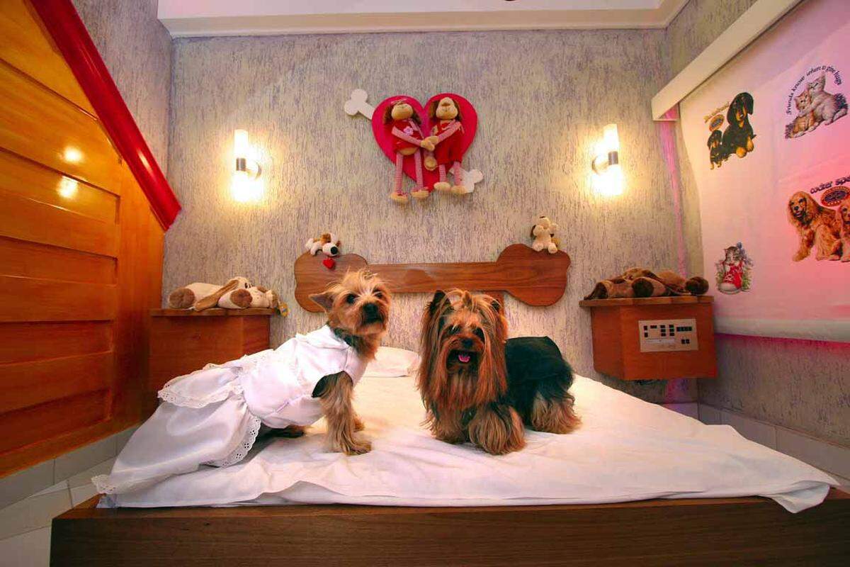 Tierisch geht es auch im Doggy Love Motel in Sao Paulo zu.