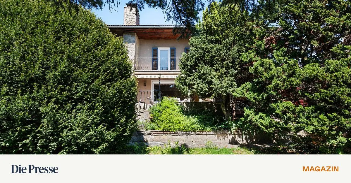 Wohneigentum-In-Wien-wachsen-untersch-tzte-Toplagen-heran-premium-