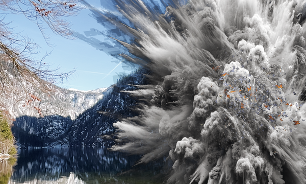 Genau, hier fliegt der Toplitzsee in die Luft: Natürlich nur auf Ihrem Handybildschirm, in der AR-Installation von Eva Schlegel, die dabei Pfundnoten und Schmetterlinge freilässt.