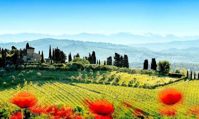 Die typische Hügellandschaft der Toskana ist die Kulisse für eine Reise, die das Herz eines jeden Gourmets höher schlagen lässt.