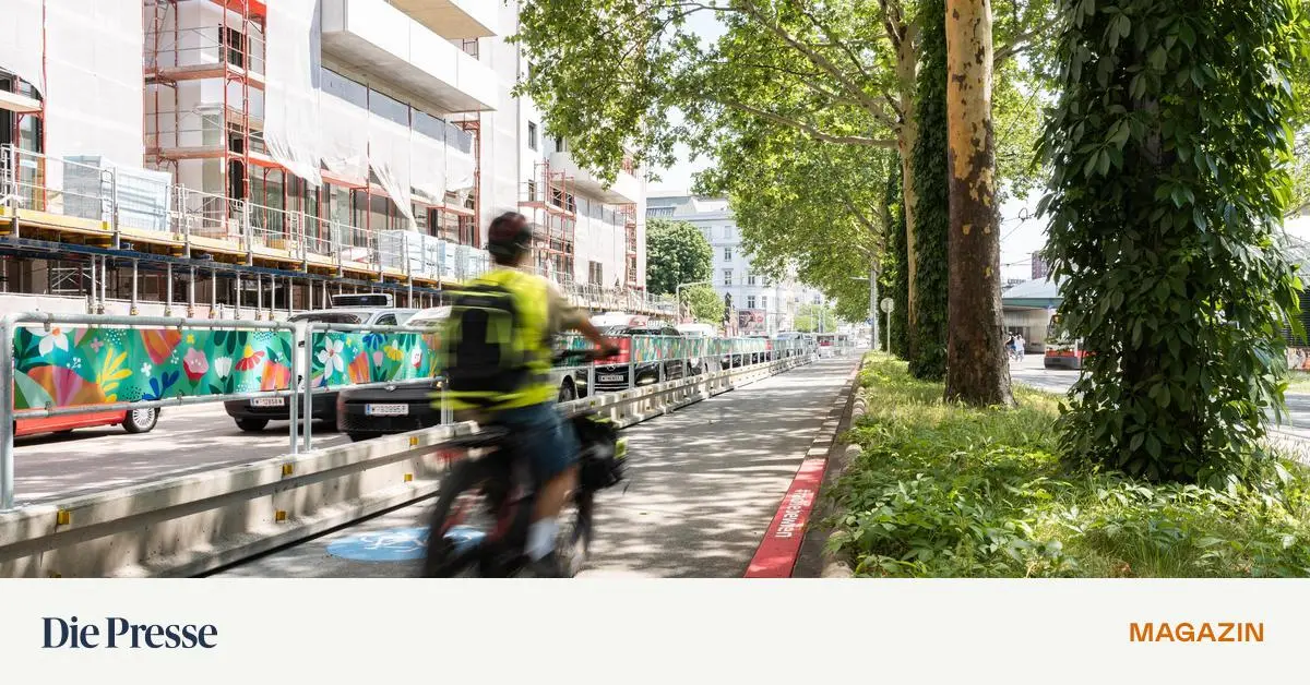 Neuer-Radweg-am-Wiener-G-rtel-Wenn-endlich-radliebe-aufkommt-premium-