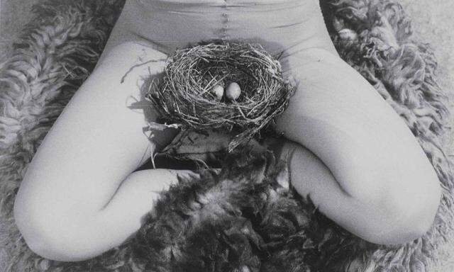 "Nest", SW-Fotografie von Birgit Jürgenssen aus dem Jahr 1979.