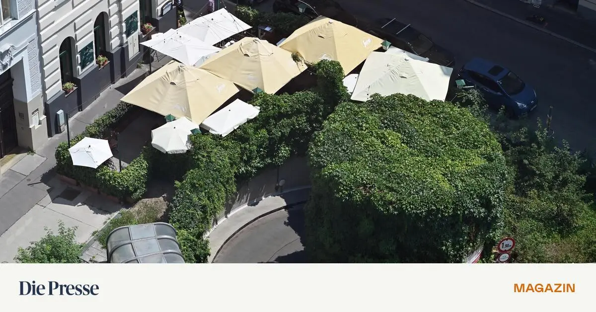 Gast-st-rzt-im-Schanigarten-Wirt-ist-nicht-schuld-premium-