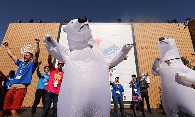 Als Eisbären verkleidete Aktivisten in Sharm el-Sheikh.