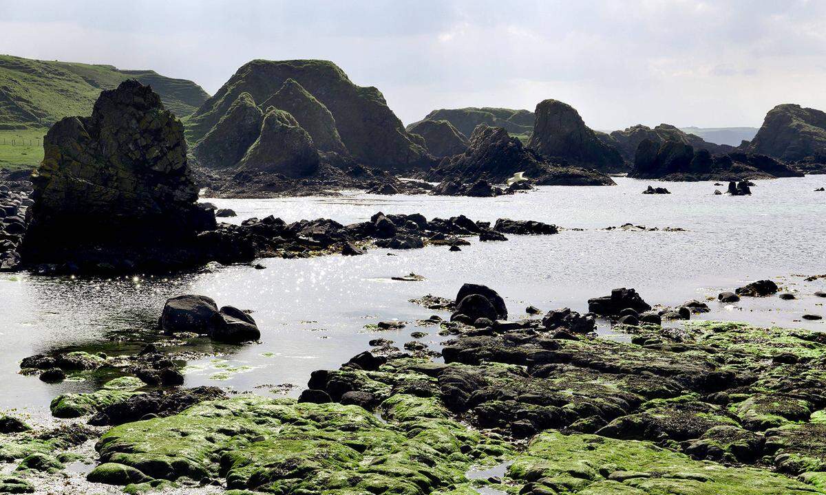 Auf einer Nordirland-Tour bietet sich ein Abstecher nach Ballintoy Harbour im County Antrim an, der für Game of Thrones Fans besser als Peik, der Hafen der Eiseninseln, bekannt ist. Hier betritt „Stinker“ Theon Graufreud nach langer Zeit wieder seine Heimat und trifft auf seine Schwester. Die Landschaft bot für das Filmteam das entsprechende Setting. Hier wurden nicht nur viele Szenen der Eisenlande gedreht, hier sind die Eisenlande.