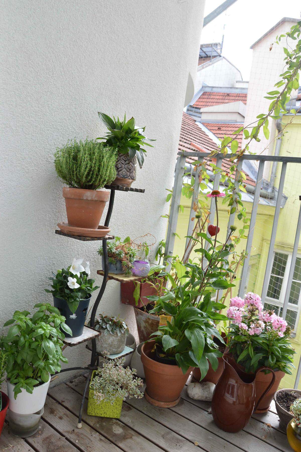 Kleiner Kräutergarten am Balkon.