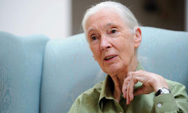 Jane Goodall