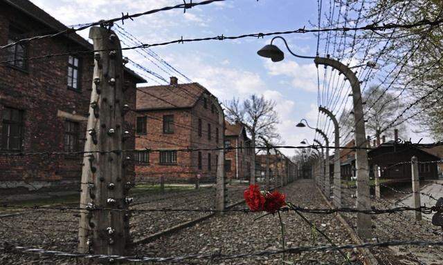 Carnations are placed on the barbed wire in the former Nazi death camp of Auschwitz in Oswiecim