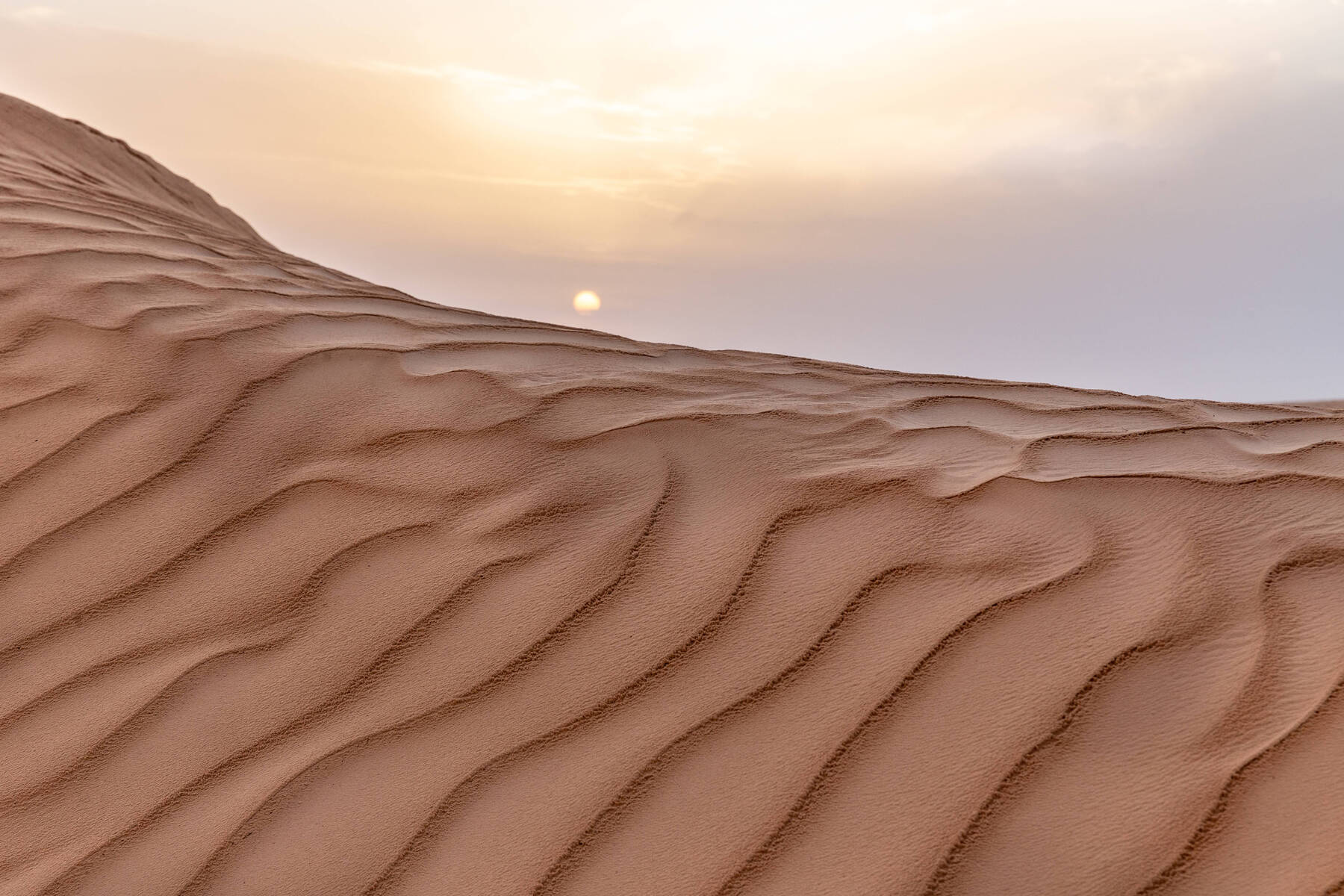 49 Die of Thirst After Truck Breaks Down in Sahara Desert