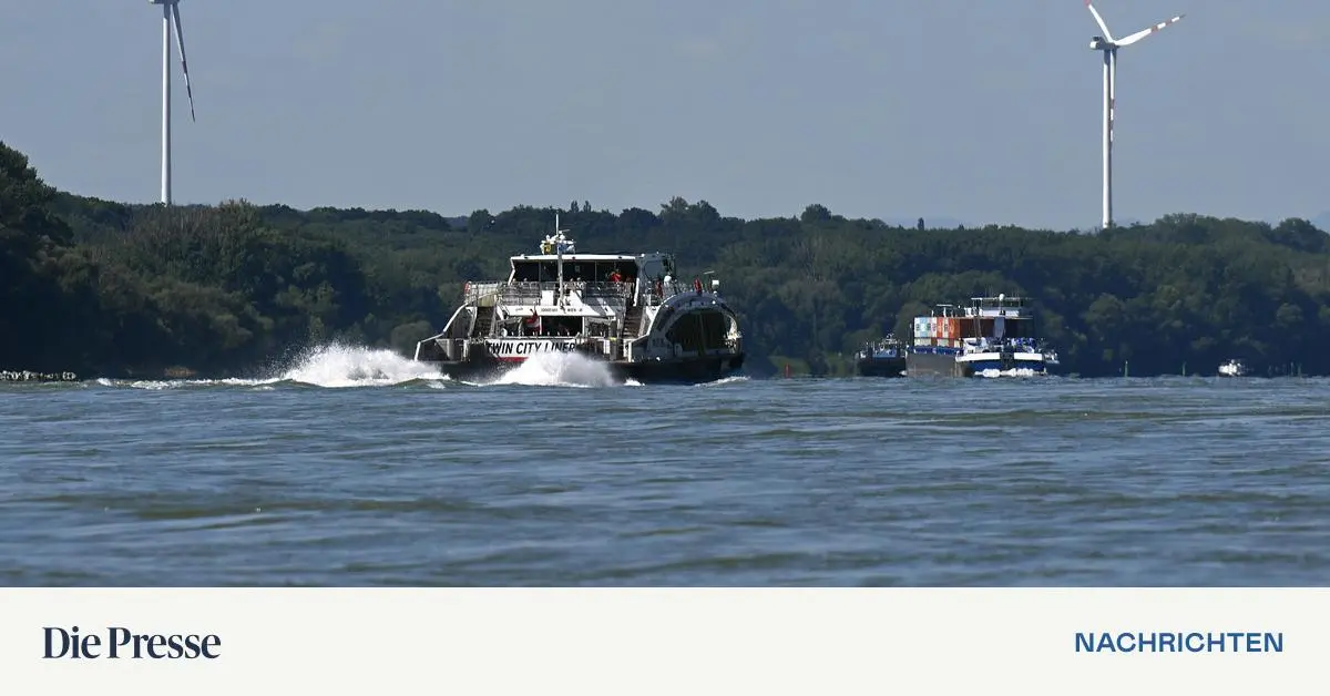 Reifenabrieb-und-Weichmacher-f-hren-zu-Fischsterben-premium-