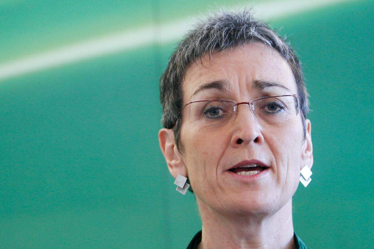 Ulrike Lunacek war von 2006 bis 2009 Co-Vorsitzende der Europäischen Grünen Partei. Ab 1999 arbeitete sie für zehn Jahre als Abgeordnete im österreichischen Nationalrat. In Straßburg liegt ihr Fokus auf auswärtige Angelegenheiten.