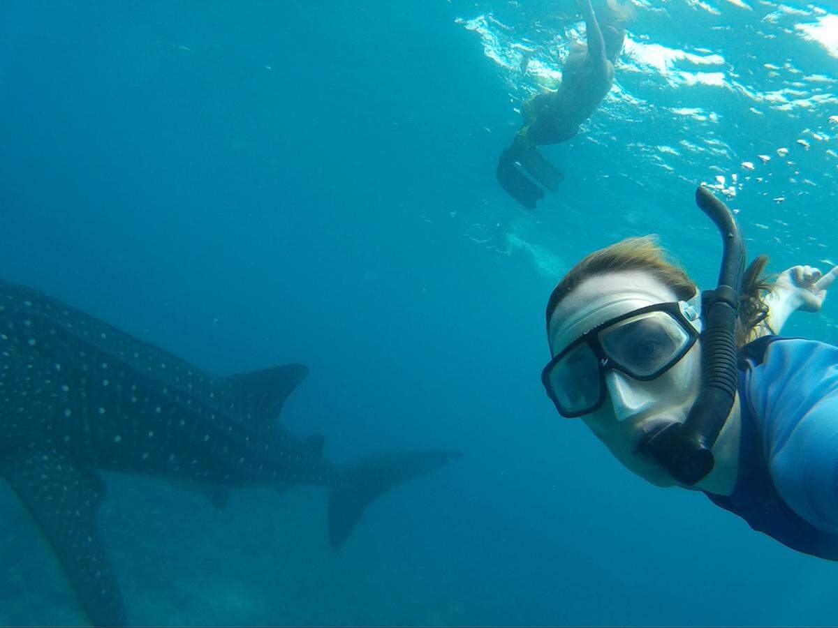 Online-Redakteurin Christina Lechner schwamm im südlichen Ari-Atoll auf den Malediven mit einem Walhai, der es jedoch nicht in seiner vollen Pracht auf das Selfie schaffte.